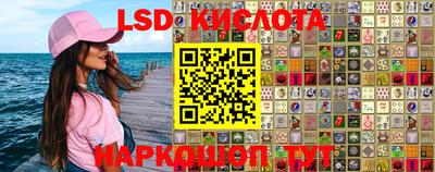 Альфа ПВП Ставрополь